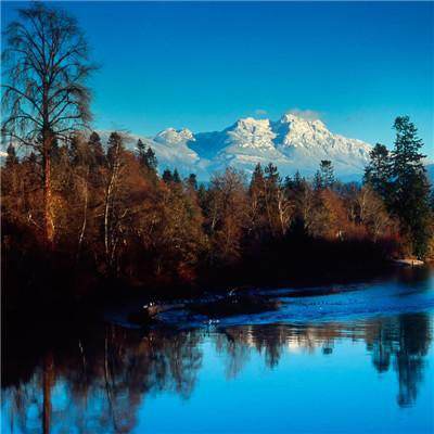 kok官方体育app下载