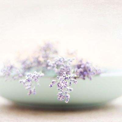 云顶集团下载手机版